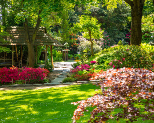 Proiectare sistem irigatii gazon HUF