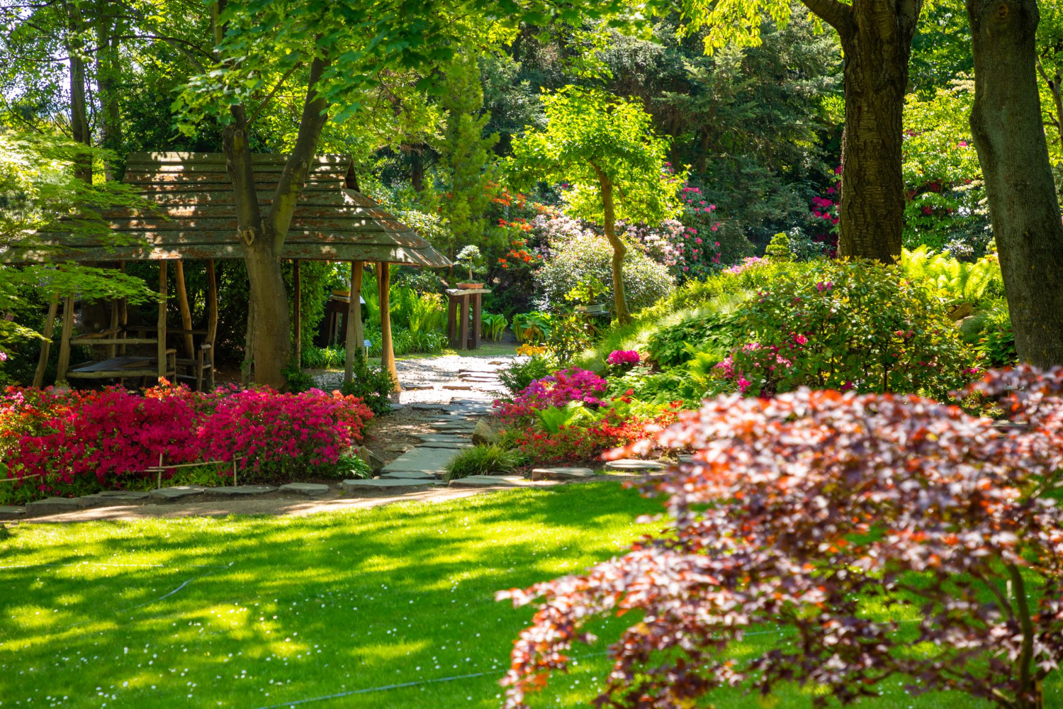 Proiectare sistem irigatii gazon HUF3