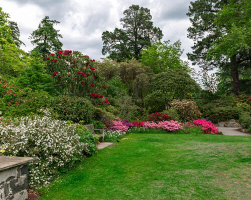 Proiectare sistem irigatii gazon HUF