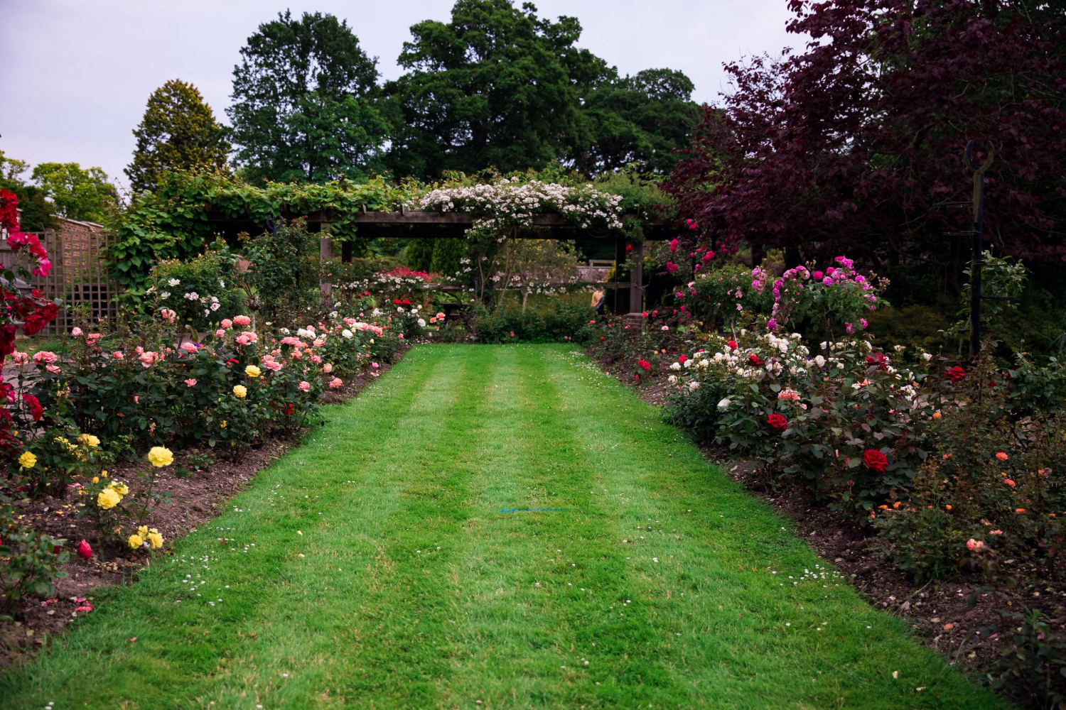 Proiectare sistem irigatii gazon HUF4