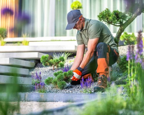 Proiectare sistem irigatii gazon HUF8