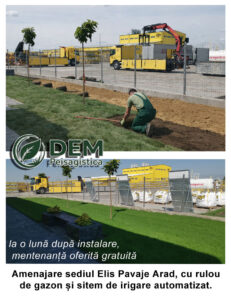 Montaj rulou de gazon in Arad